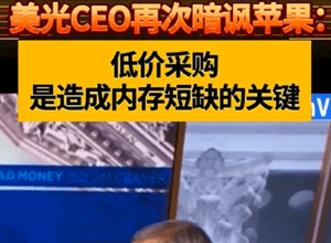 苹果与美光“公开翻脸”：库克抱怨涨价太狠，美光CEO翻旧账怒怼